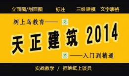 热点爆料烧菜视频教程全集,一网打尽家常美食制作秘诀